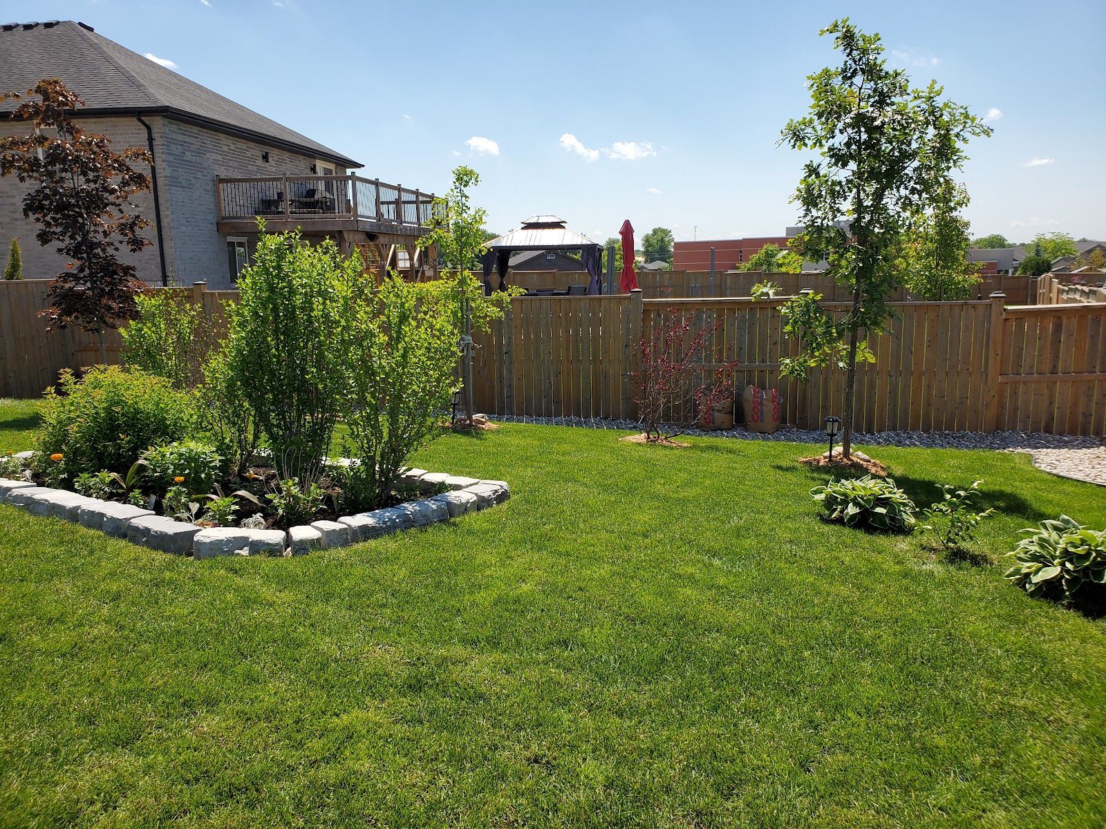 Backyard with green grass, flower beds, wooden fence, trees, and a house under a blue sky.