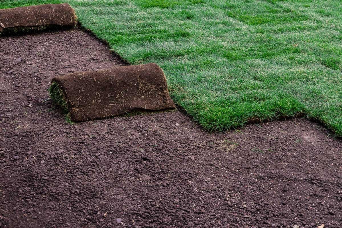 Sod rolls partially unrolled on dark soil, with bright green grass and brown dirt visible.