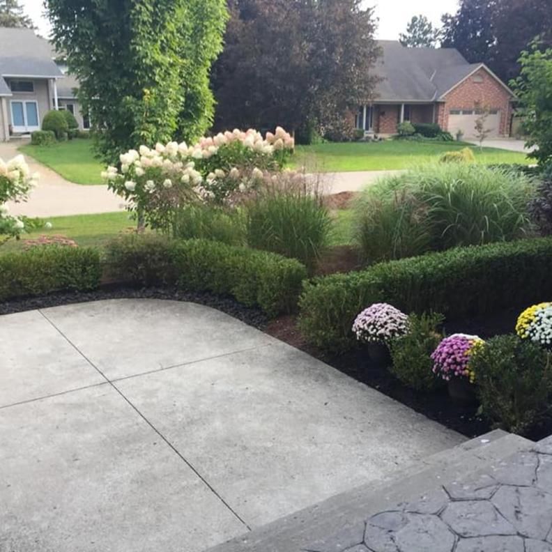 wildroses landscaping images