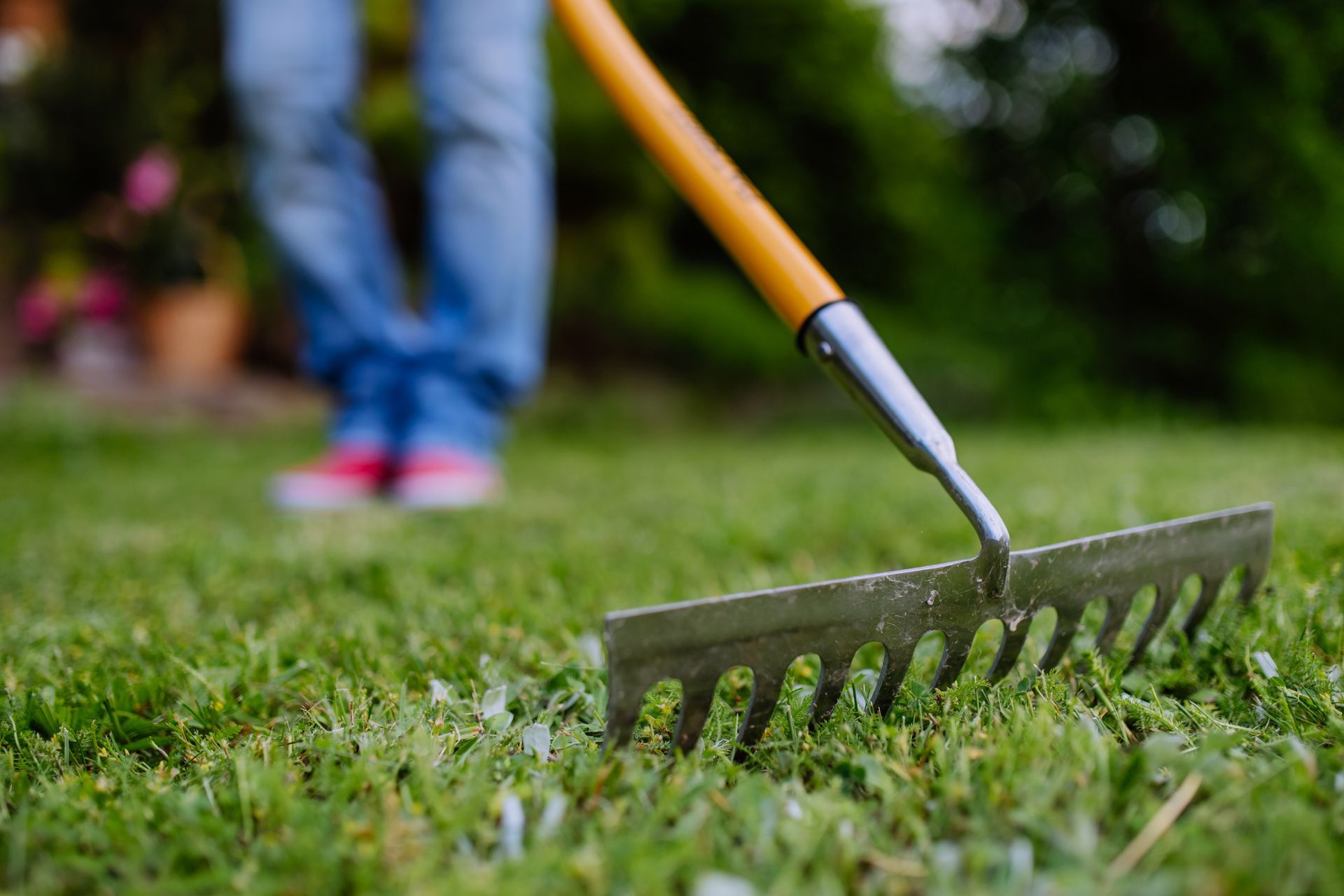 a person is raking the grass in a garden with a rake .