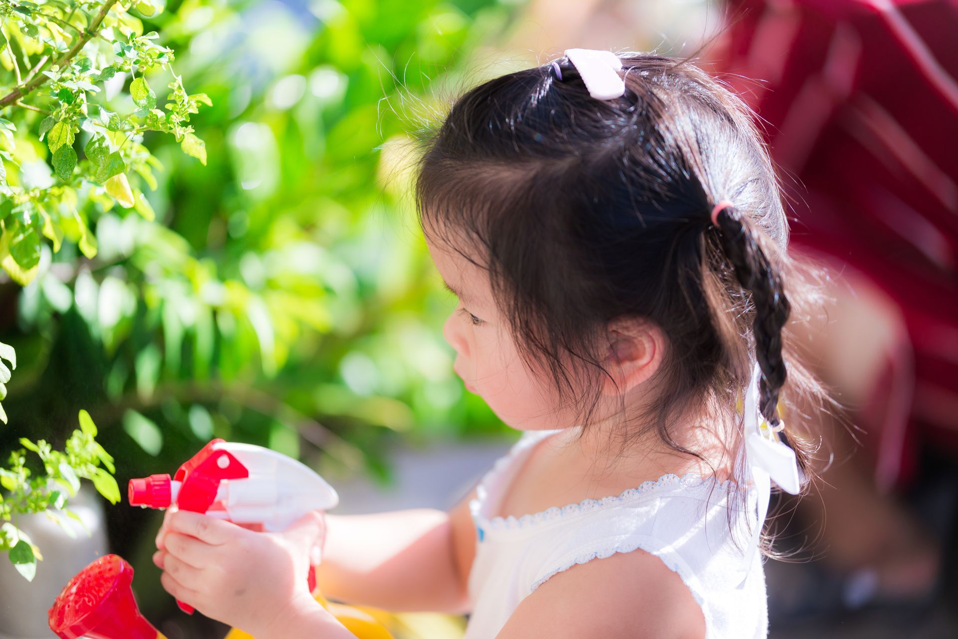 Sustainable Landscaping Ideas To Make Your Yard Eco Friendly