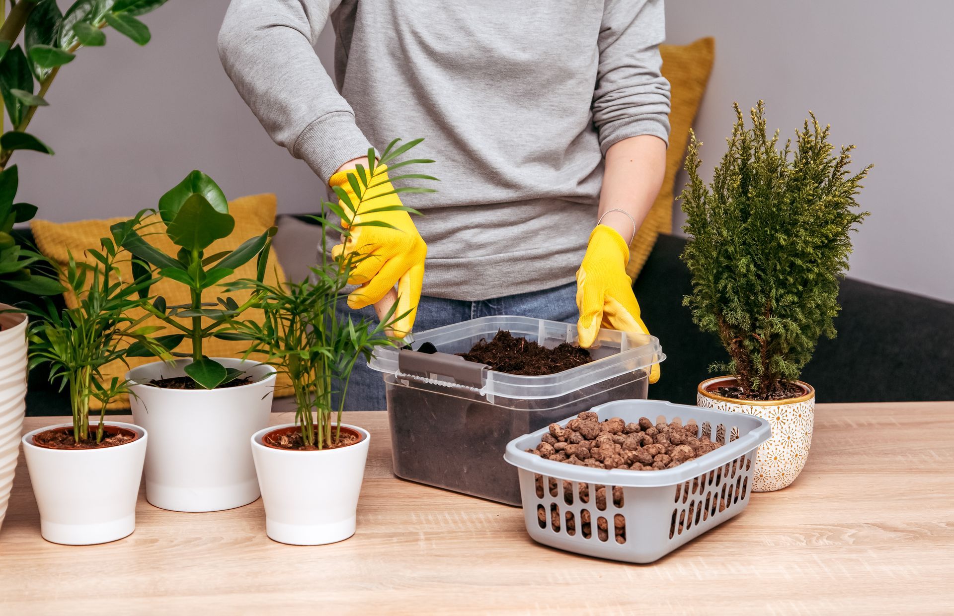 Person in yellow gloves potting plants indoors, surrounded by potted greenery and supplies.