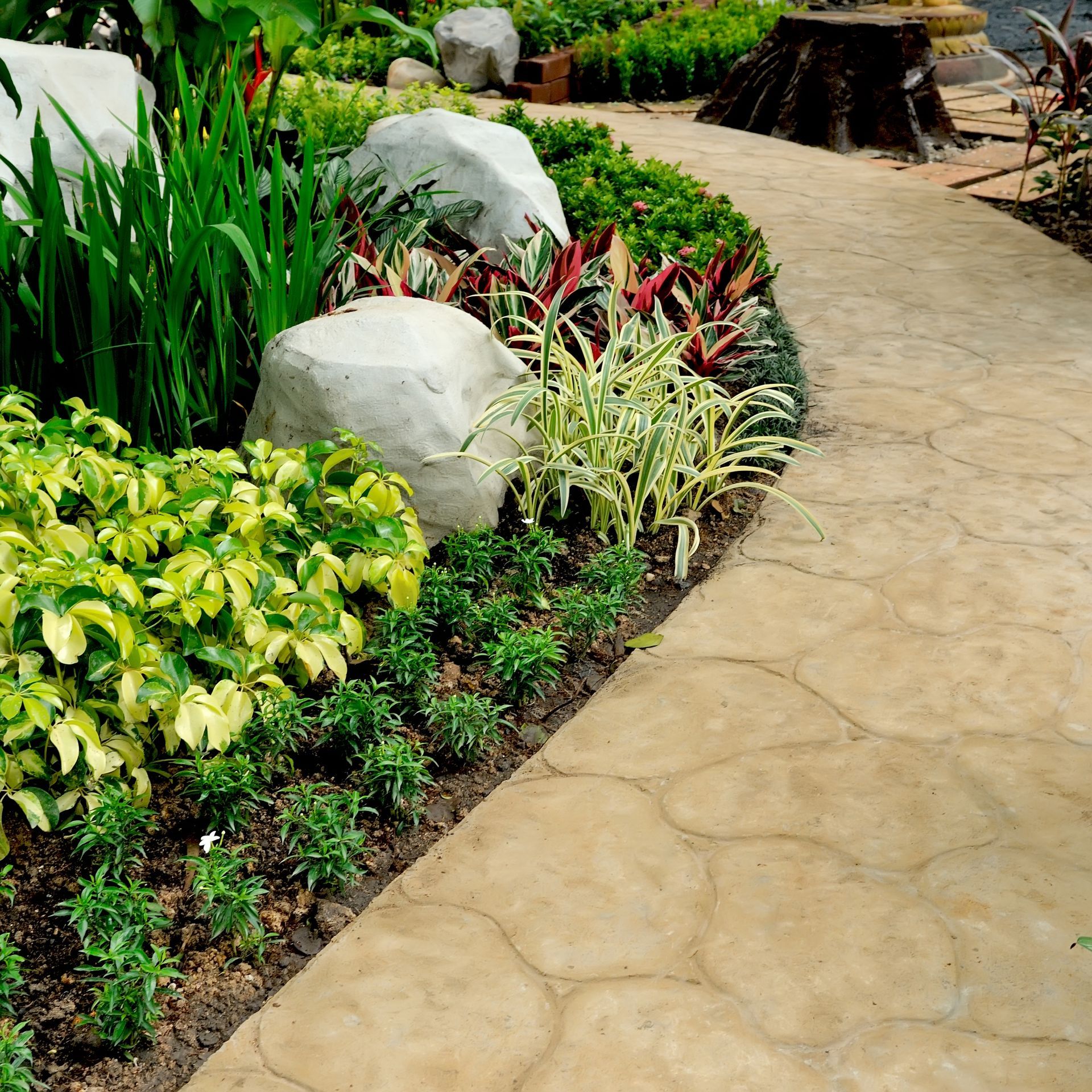 A walkway surrounded by plants and rocks in a garden