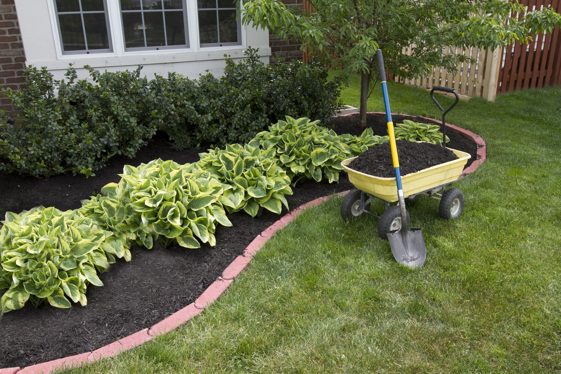 A wheelbarrow filled with dirt and a shovel in a garden.
