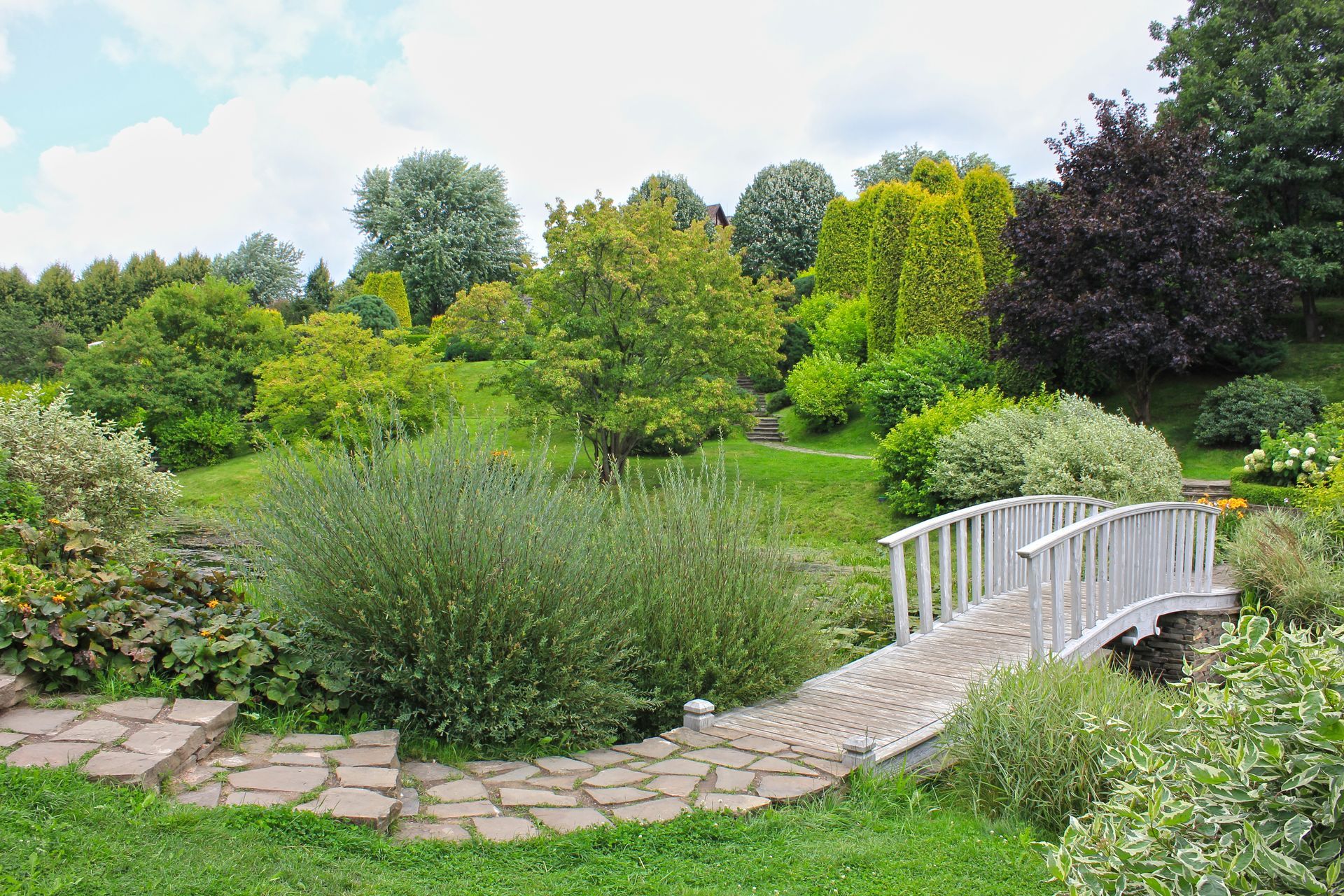 There is a small bridge in the middle of the park.