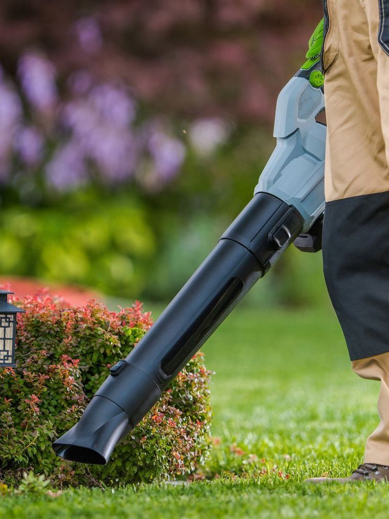 A person is using a leaf blower on a lush green lawn.