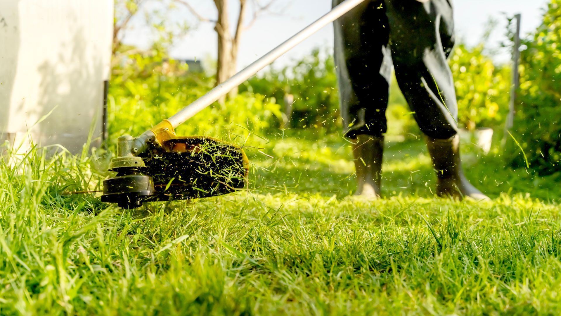 A man is using a lawn mower to cut the grass.