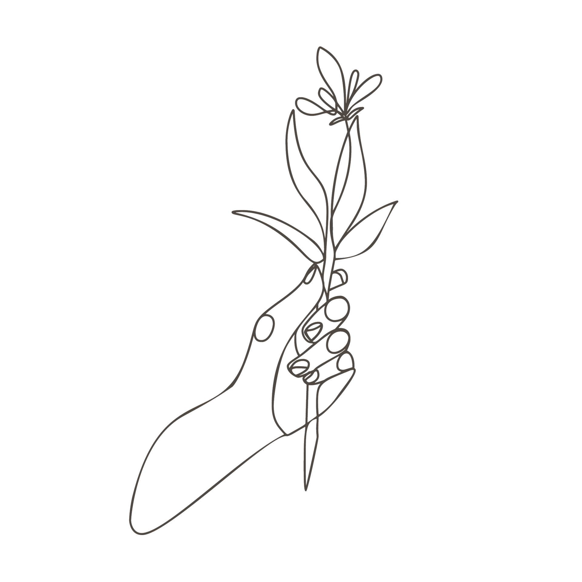 A hand holding a sprig with leaves and a single flower, depicted in a continuous line drawing.