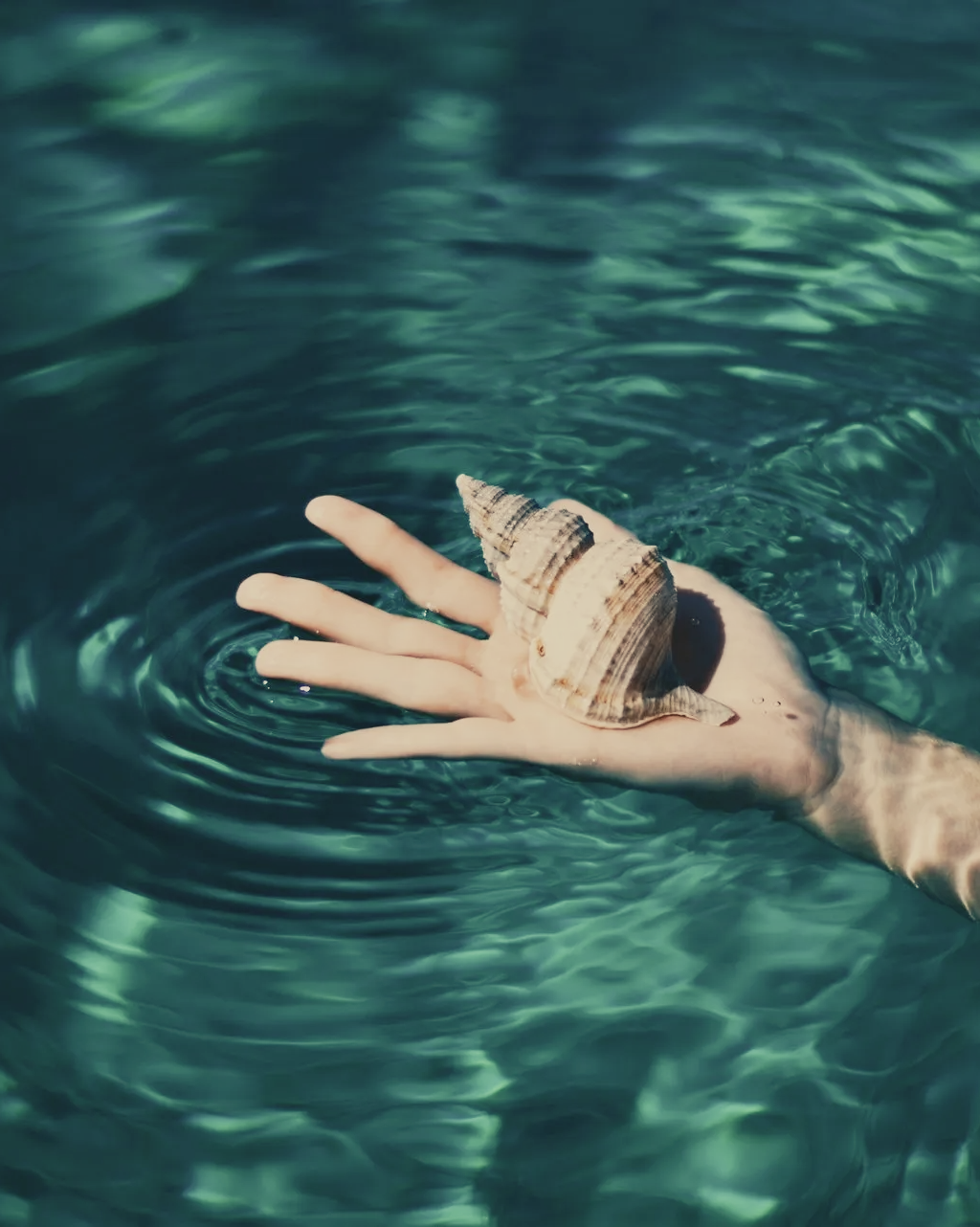 Hand holding a spiral seashell in clear turquoise water, ripples expanding outward.