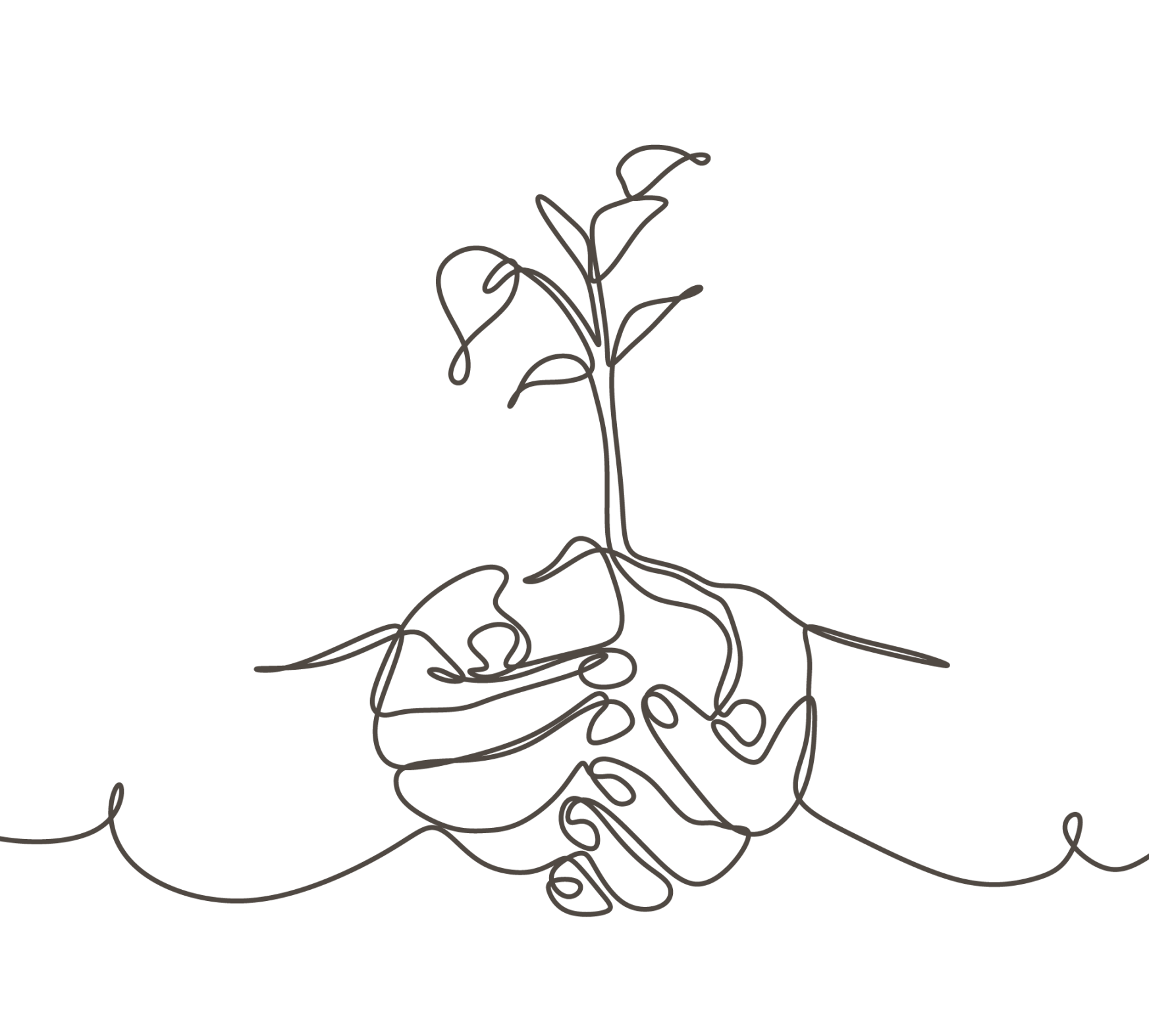Two hands holding a growing plant, symbolizing growth and collaboration.