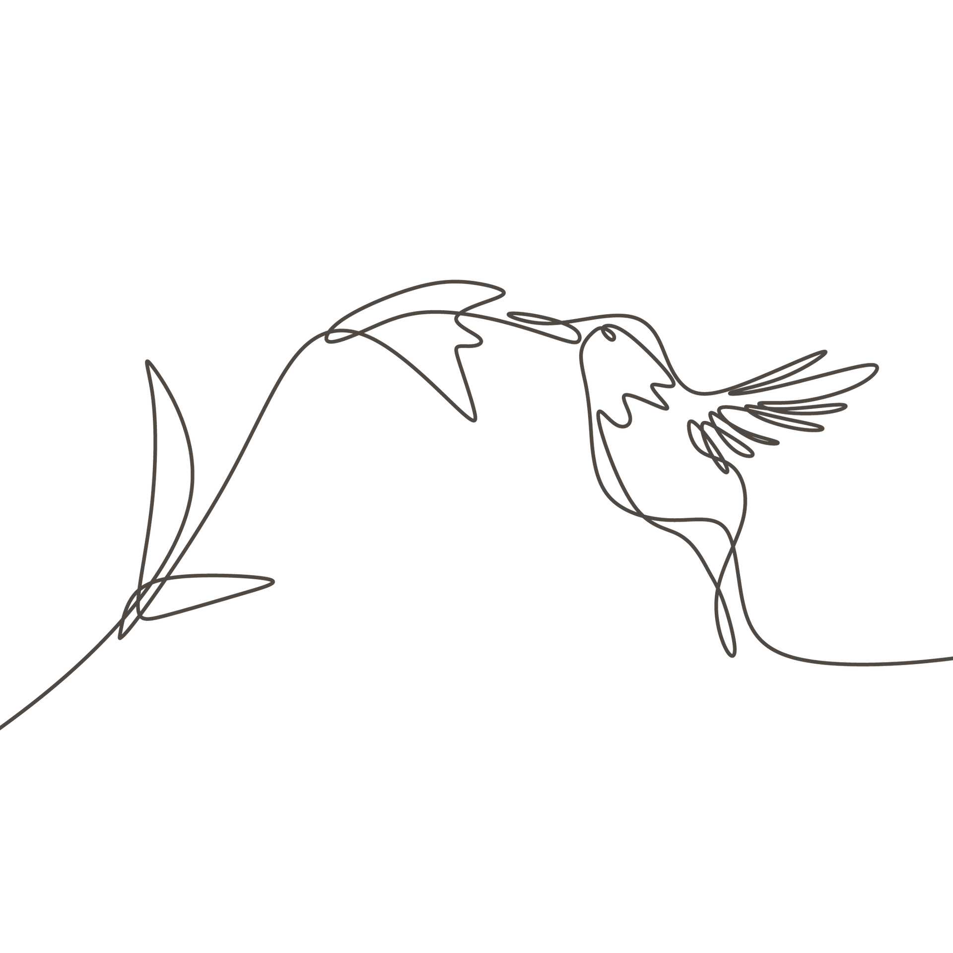Hummingbird in flight, drinking from a flower, single continuous line drawing.