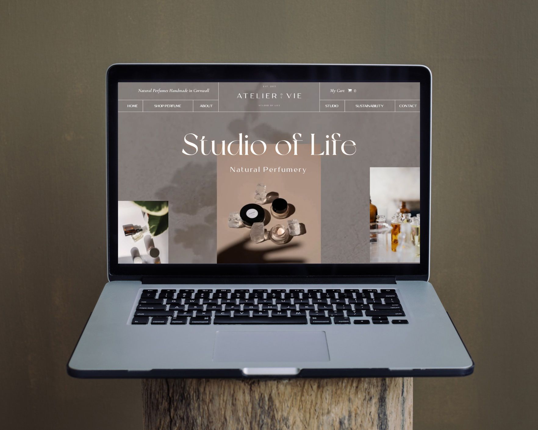Laptop displaying the Studio of Life website on a wooden surface, with soft lighting and earth-toned visuals.