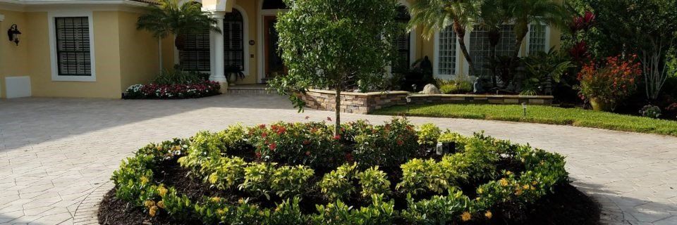 Landscape,Landscaping,Landscape Design,Affordable Landscaping,Flowers,Sod,Garden,Lawn Care,Landscaping on a Budget Sarasota