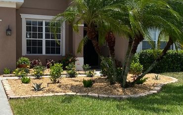 Landscape,Landscaping,Landscape Design,Affordable Landscaping,Flowers,Sod,Garden,Lawn Care,Landscaping on a Budget Sarasota