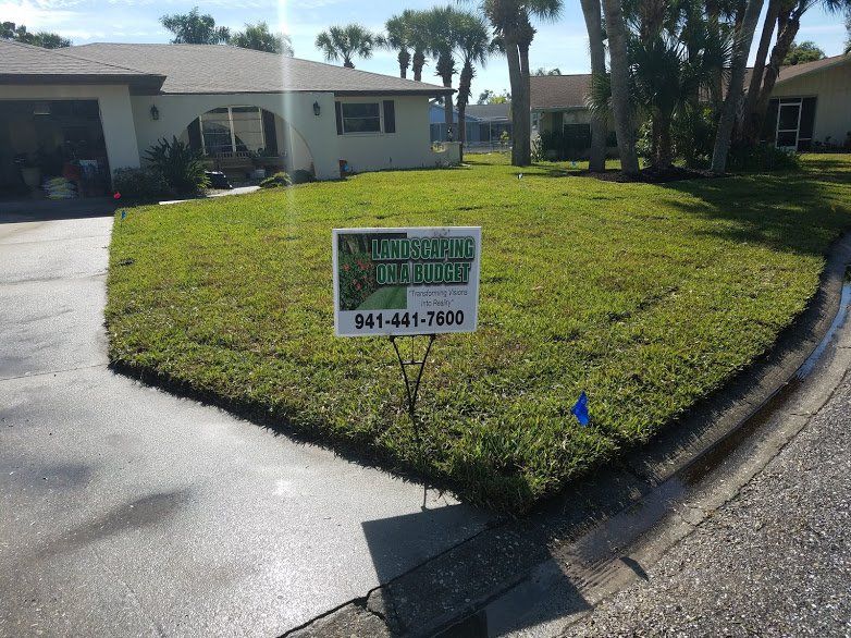 Landscape,Landscaping,Landscape Design,Affordable Landscaping,Flowers,Sod,Garden,Lawn Care,Landscaping on a Budget Sarasota
