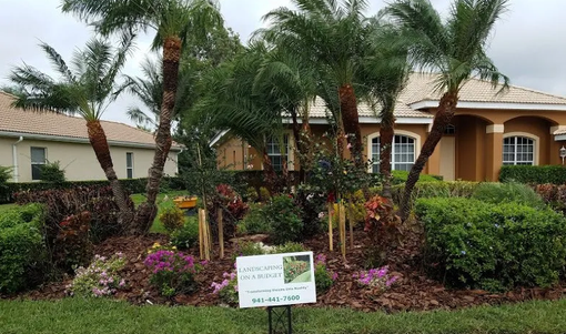 Landscape,Landscaping,Landscape Design,Affordable Landscaping,Flowers,Sod,Garden,Lawn Care,Landscaping on a Budget Sarasota