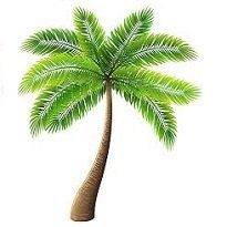 Landscaping on a Budget Sarasota - Landscaping in Sarasota