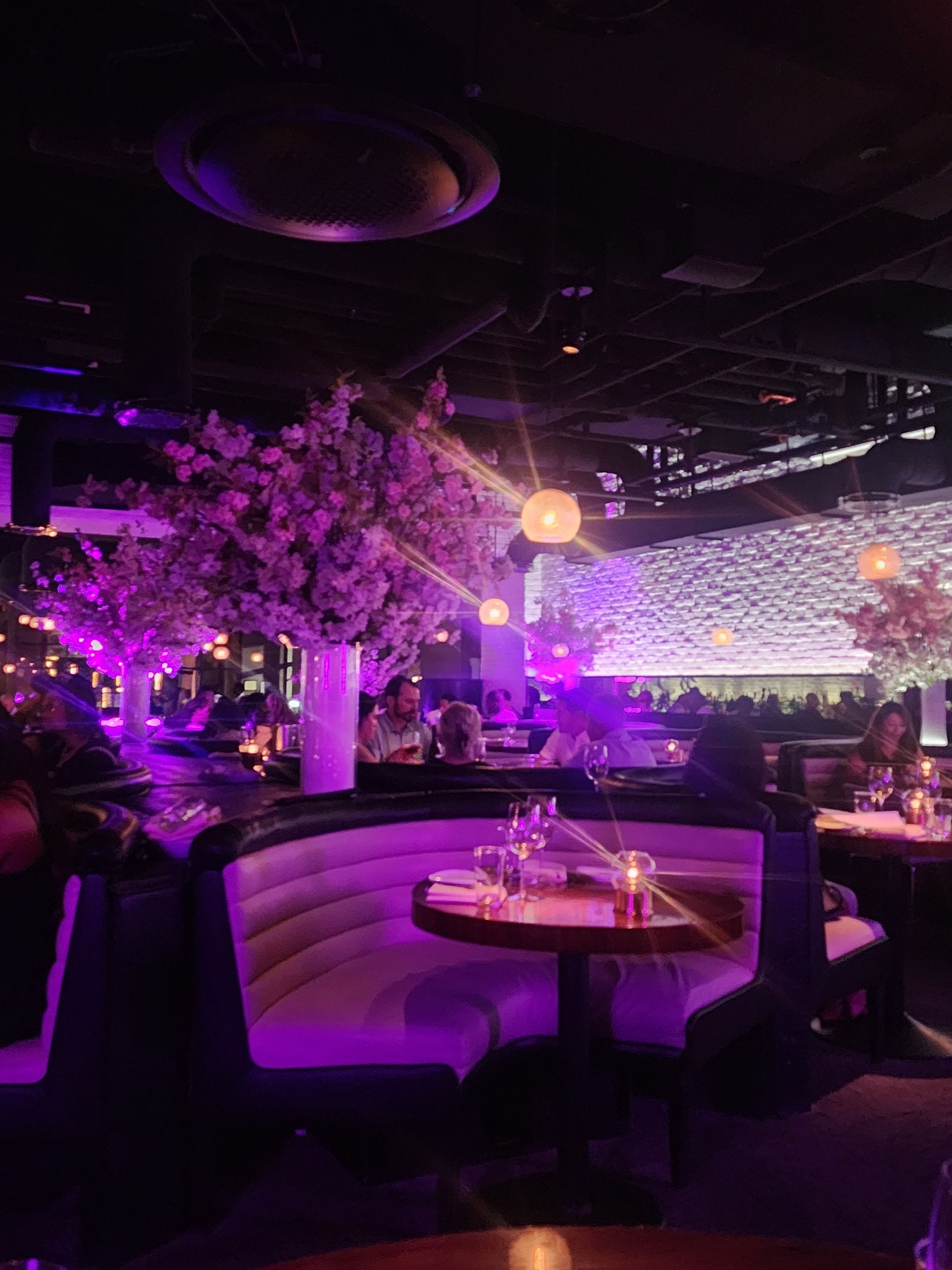 Purple-lit restaurant interior with booths, round tables, and decorative trees. People are dining and socializing.