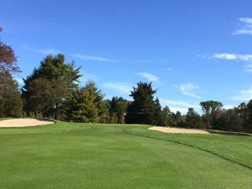 Green golf course with sand traps and trees under a blue sky.