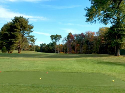 Green golf course with trees under a blue sky.