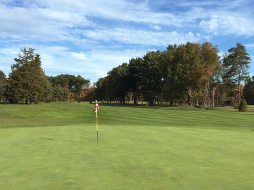 Green golf course with flag, trees, and cloudy blue sky.