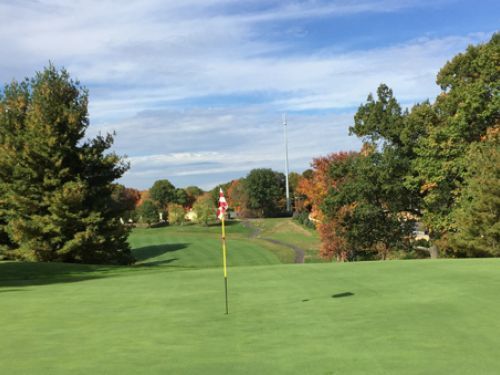 Green golf course with flag, trees, and cloudy blue sky.