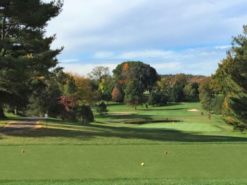Green golf course with trees under a cloudy sky.