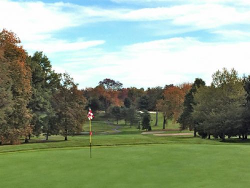 Green golf course with flag, trees, and blue sky.