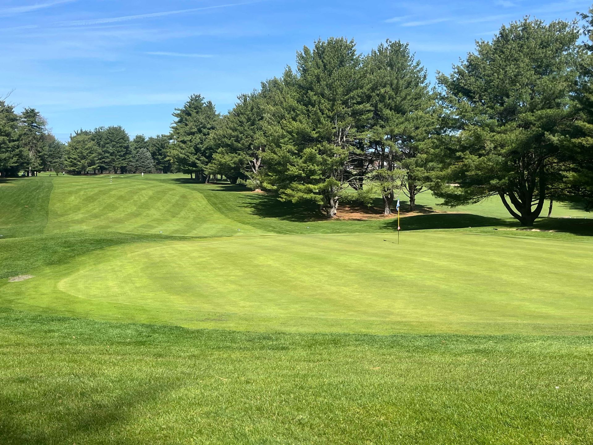 Green golf course under a bright blue sky. Lush green grass surrounds trees.