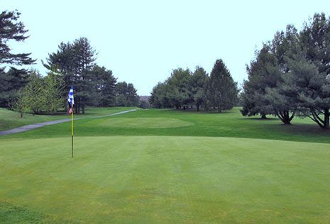Green golf course with flag, trees, and fairway.