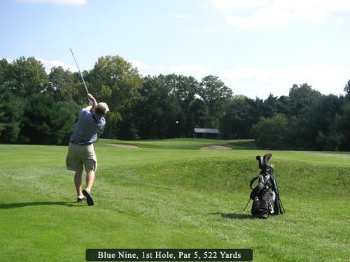 Golfer swings a club on a green course, ball in air. Golf bag sits nearby, trees in background.