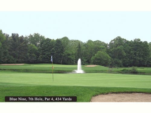 Golf green with water fountain, flag, and trees; 