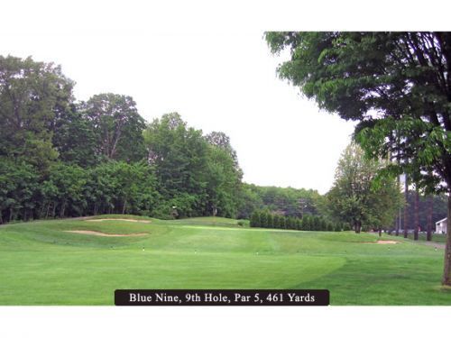 Green golf course, Blue Nine hole, Par 5, 461 yards. Trees line the fairway.