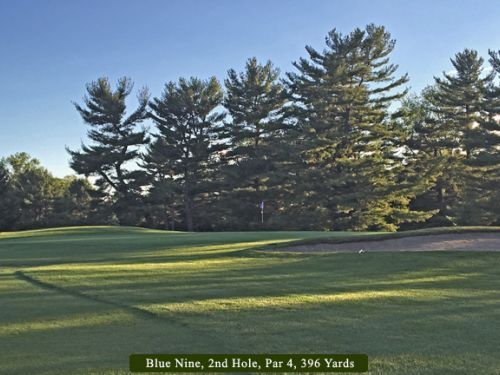 Golf course hole: Blue Nine, with green fairway, tall trees, and the flag in the distance.