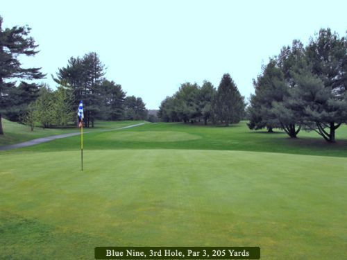 Green golf course with flag, fairway, and trees. Text reads: 