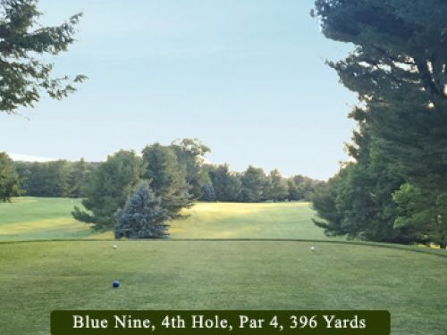 Golf course fairway view: 