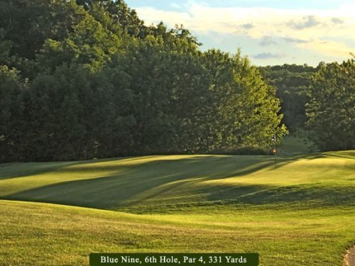 Green golf course hole with trees and sunlight; 