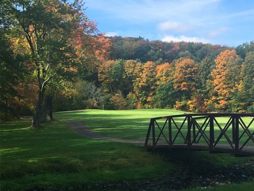 A green field with a small bridge, surrounded by trees with autumn foliage, under a blue sky.