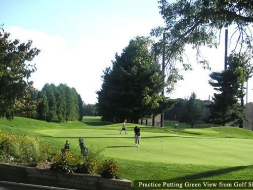 Golfers putting on a green, trees surround the course on a sunny day.
