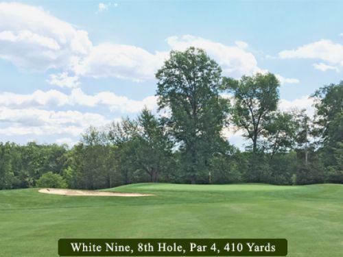 Golf course view of the 8th hole (Par 4) at White Nine. Green grass, sand trap, trees, and cloudy sky.