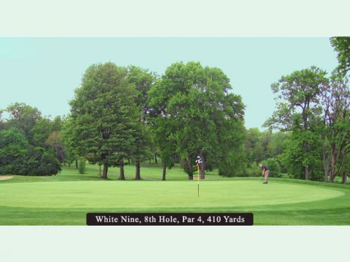Golf course green with trees and a player; text 