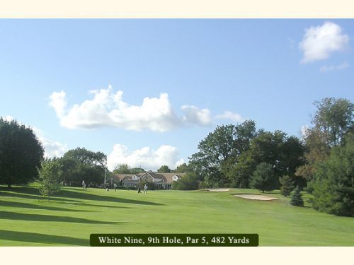 Green golf course with trees under a blue sky. People play in the distance.