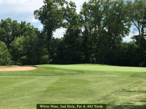 Golf course green with sand trap, trees in the background under a blue sky.
