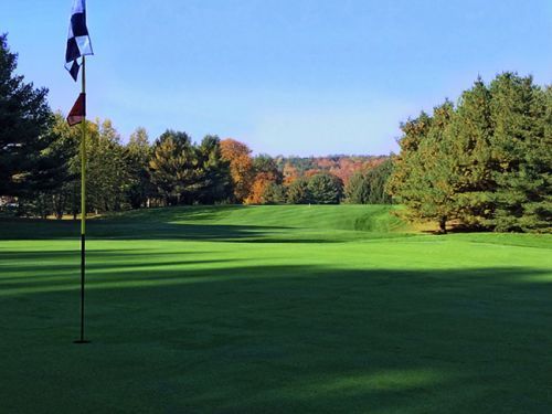 Golf course green with flag, trees, and blue sky.