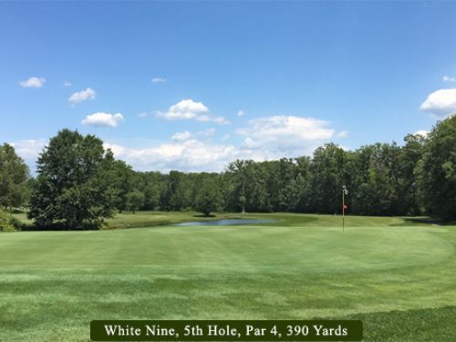 Green golf course with trees, water, and flag. Sunny, blue sky.