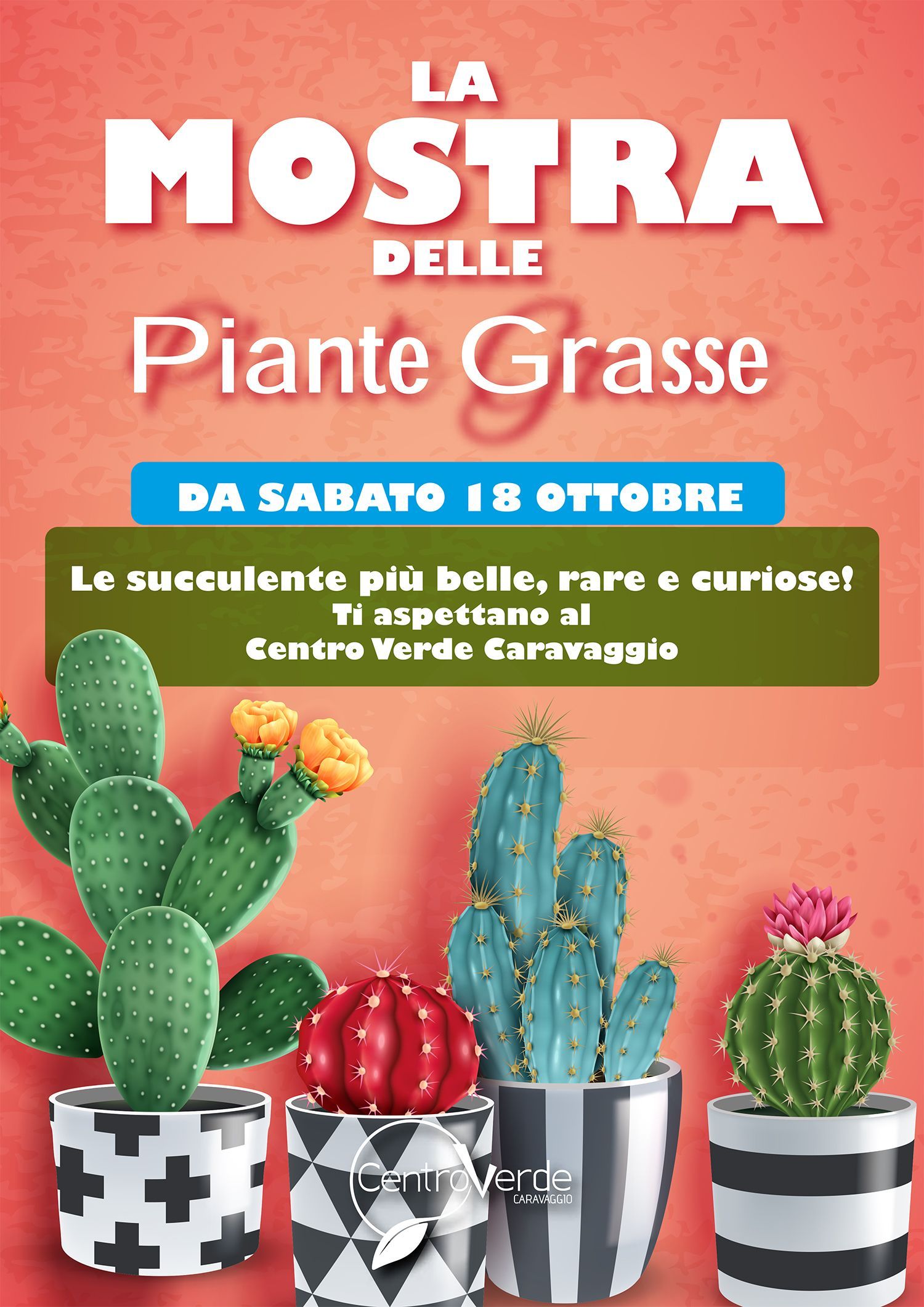 mostra piante grasse