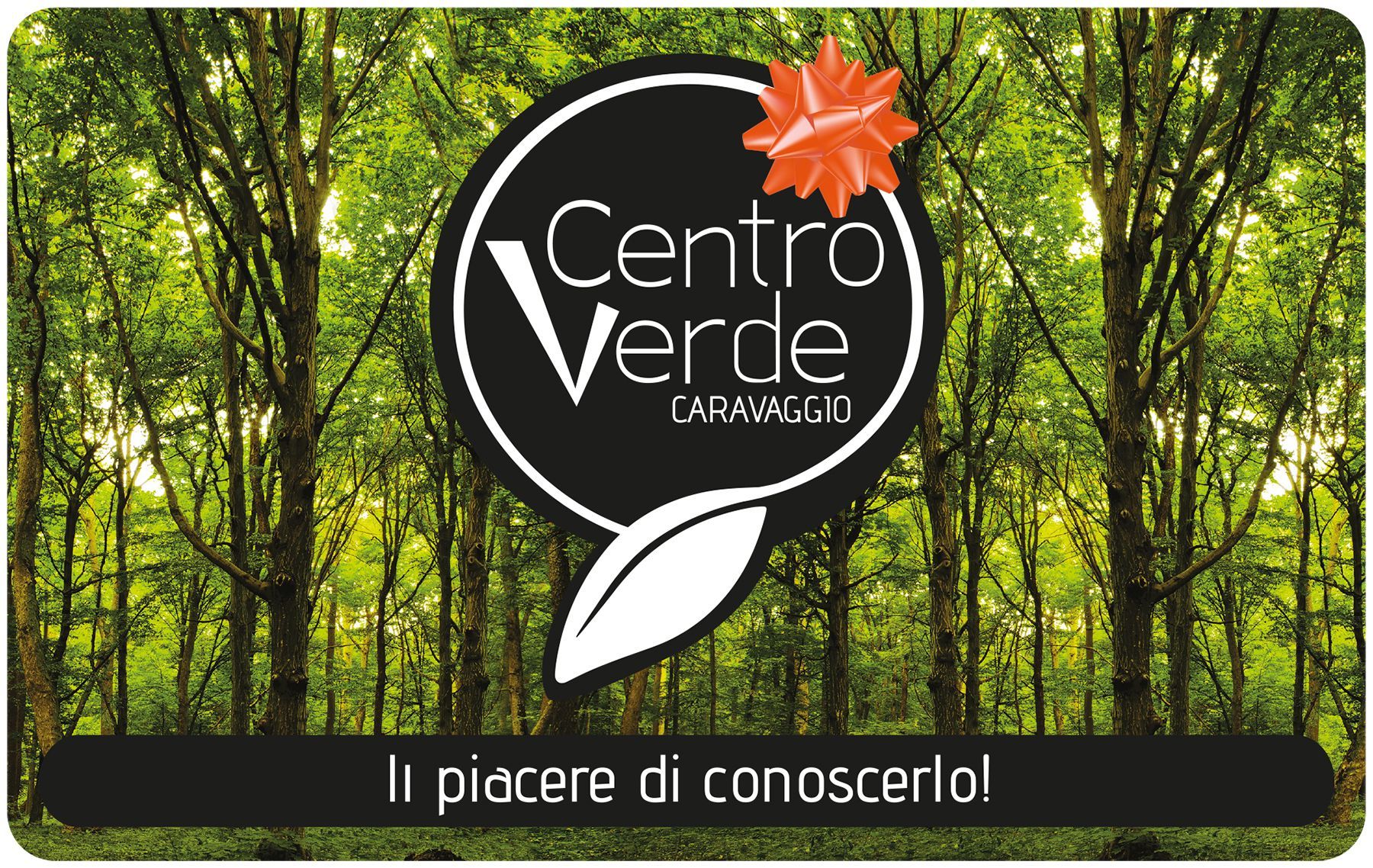 gift card centro verde