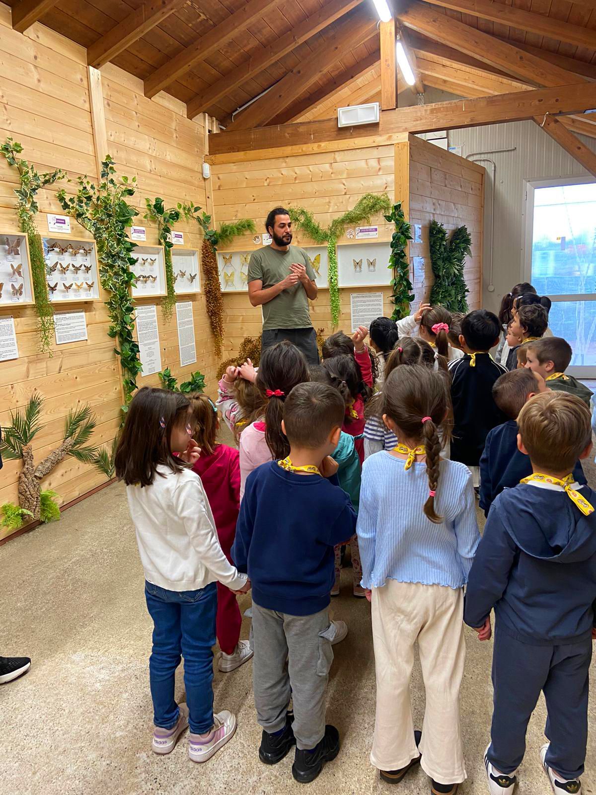 visite scolastiche casa delle farfalle