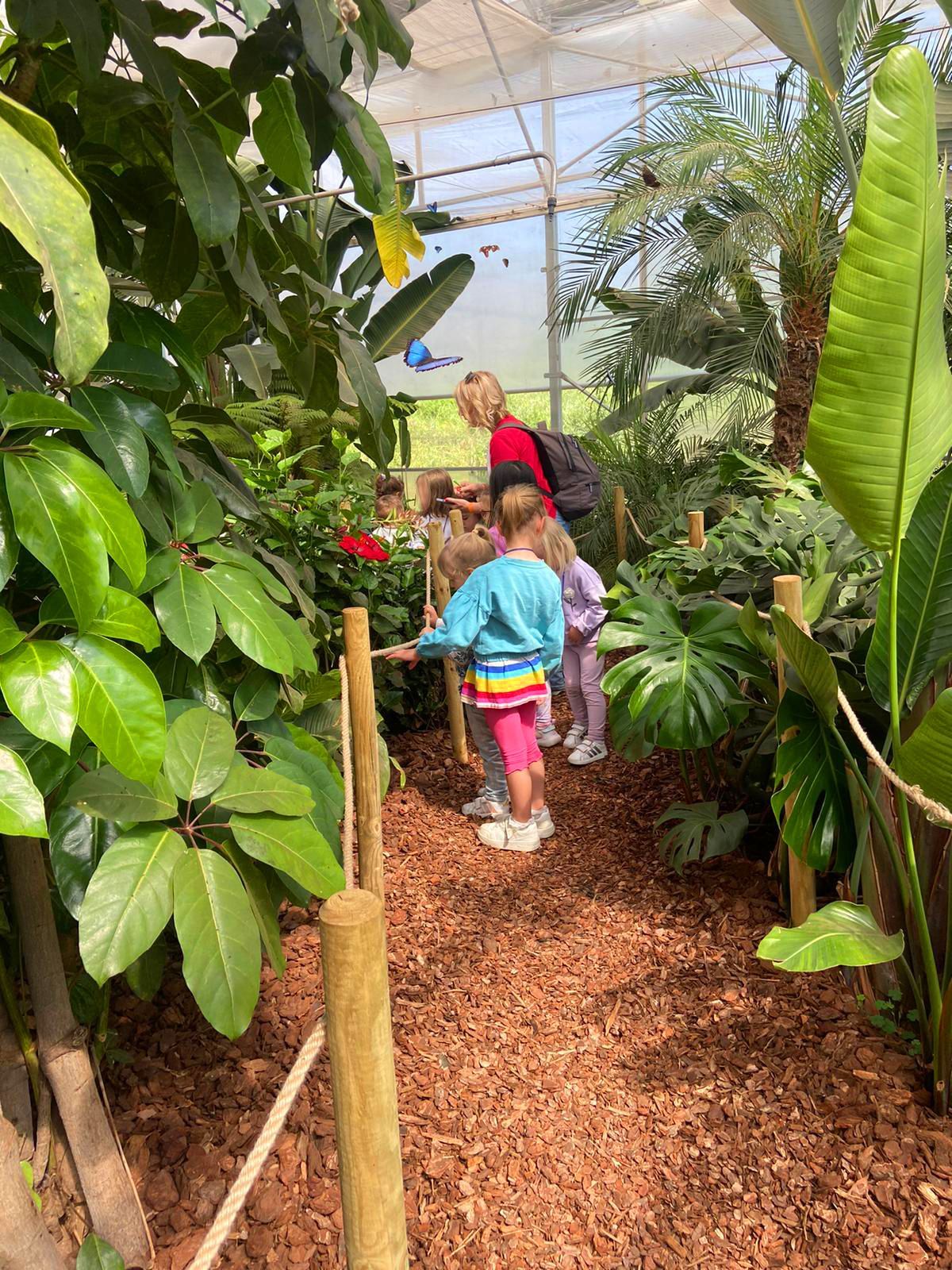 visite scolastiche casa delle farfalle