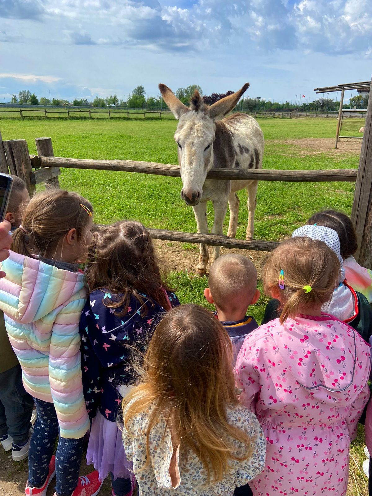 visite scolastiche fattoria didattica